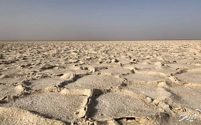 کویری بزرگ با چندضلعی های زیبا